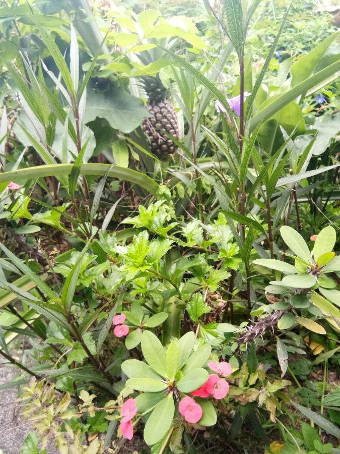 4 Seasons Mini House Hotel Nakhon Si Thammarat Exterior photo