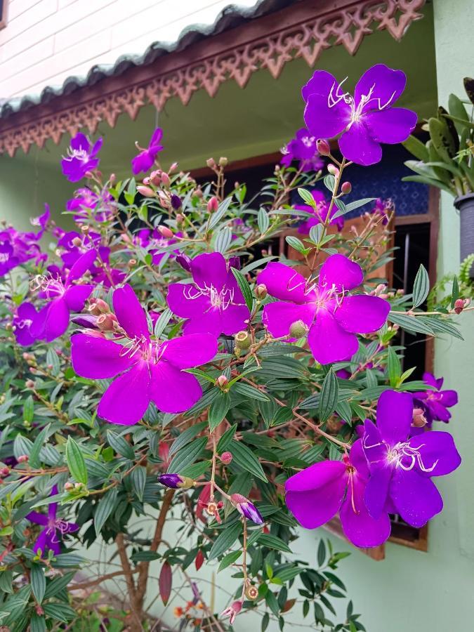 4 Seasons Mini House Hotel Nakhon Si Thammarat Exterior photo